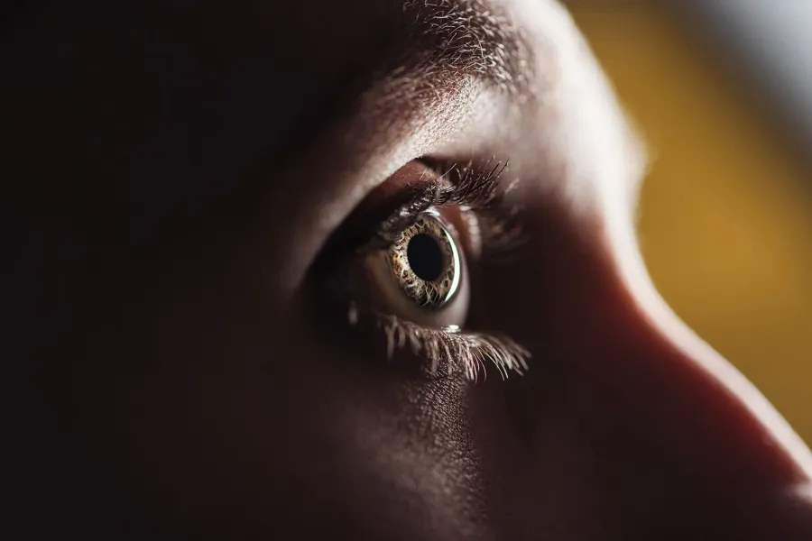 Close-up of an eye
